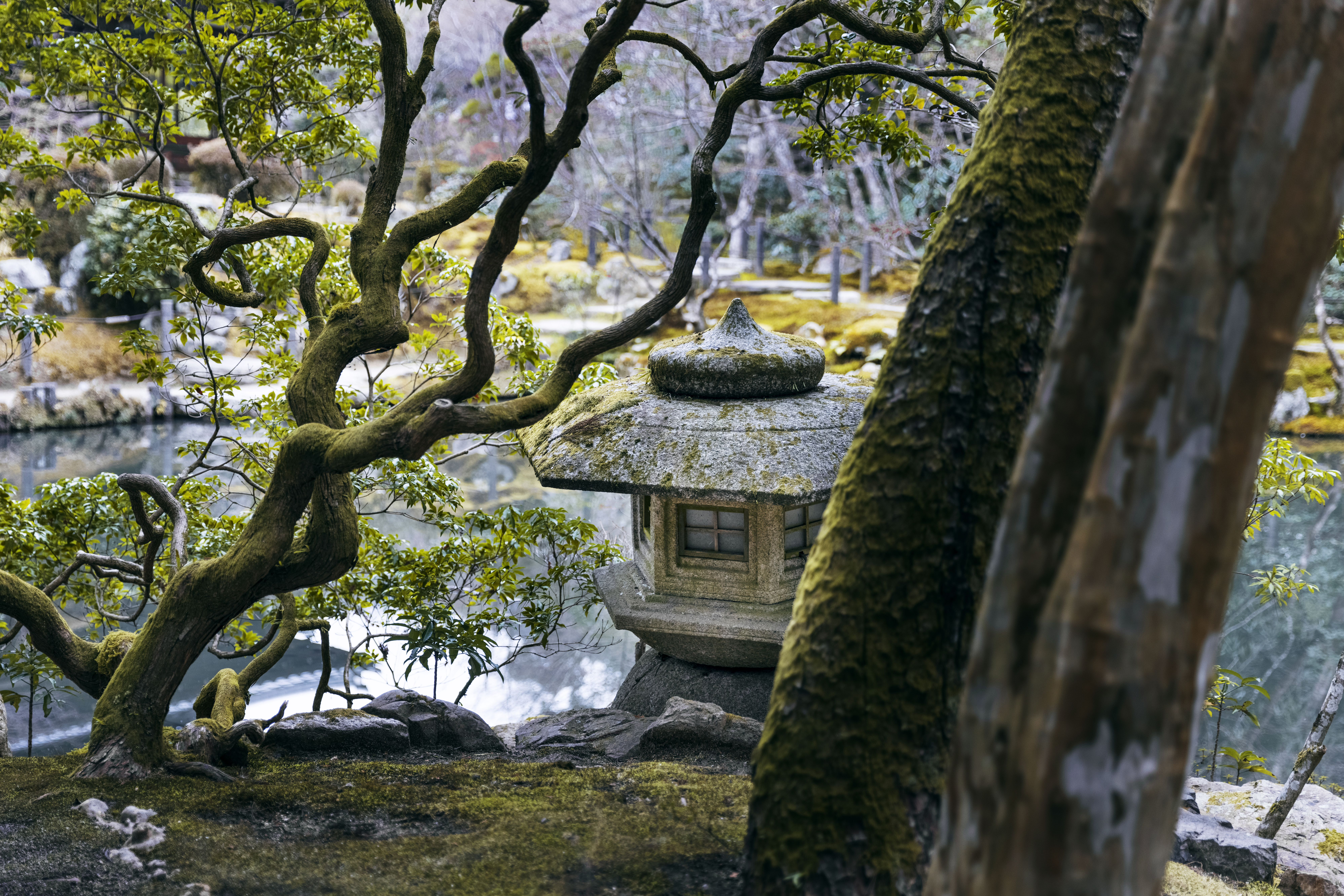 Zen-puutarha